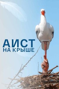 Аист на крыше 1 сезон