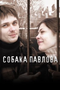 Собака Павлова (фильм 2005)