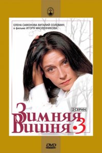 Зимняя вишня 3 (фильм 1995)